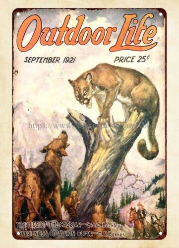 buy wall 1921 OUTDOOR LIFE mag - Hunting Dog Outdoor 评论和价格