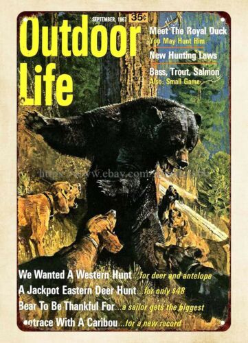 office wall decor 1967 Outdoor - Hunting Dog Outdoor 评论和价格