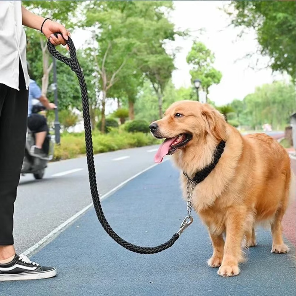 Heavy Duty Large Dog Leash Dur - Hunting Dog Outdoor 评论和价格