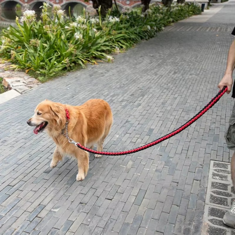 Heavy Duty Large Dog Leash Dur - Hunting Dog Outdoor 评论和价格